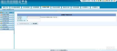 軟件開發與軟件定制 差異、應用與選擇指南